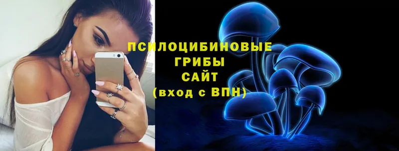 Галлюциногенные грибы Psilocybe  blacksprut зеркало  Старая Купавна  где можно купить  